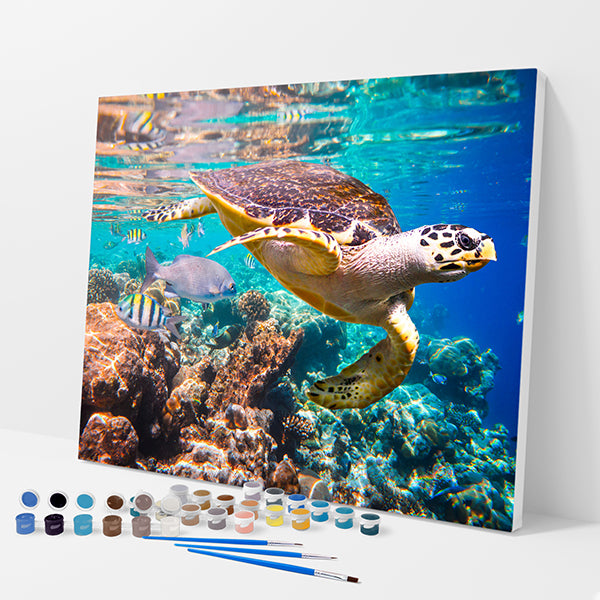 Swimming Sea Turtle Kit