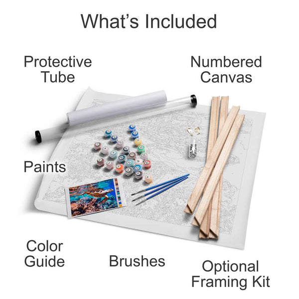 Customized Paint By Numbers Kit